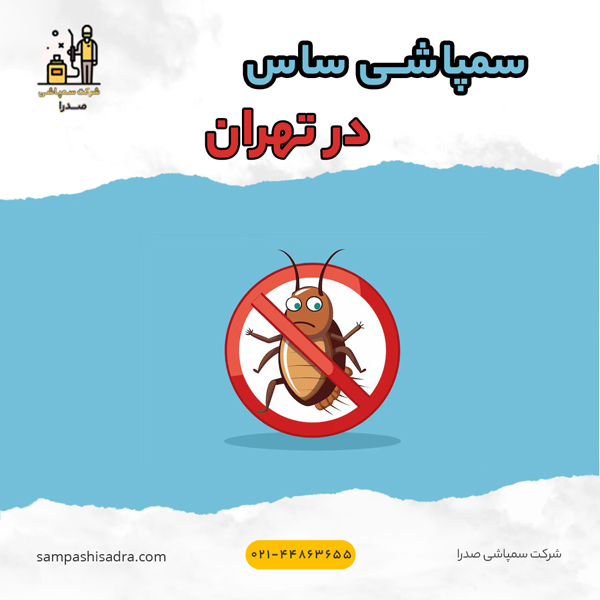 سمپاشی ساس در تهران