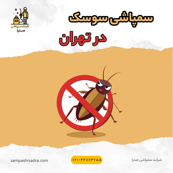سمپاشی سوسک در تهران